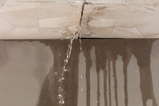 Professional Structural Drying technician working in Webster, TX